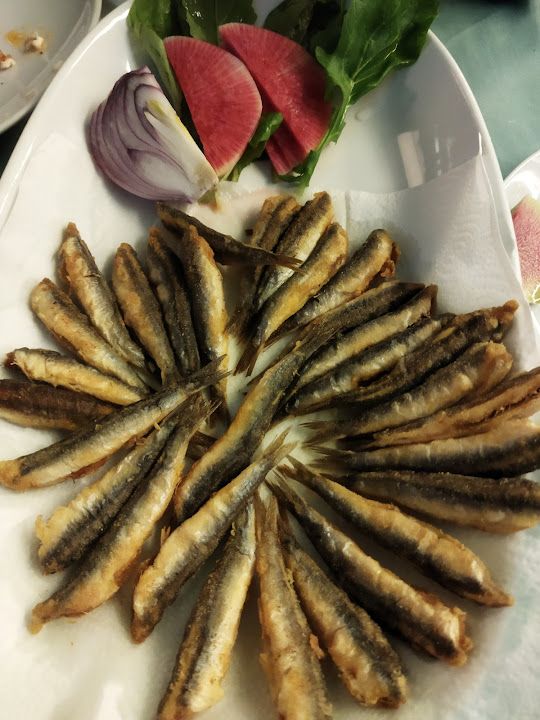 Fotoğraf 16