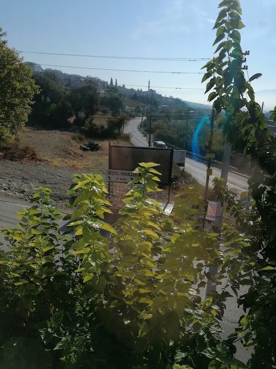 Fotoğraf 13
