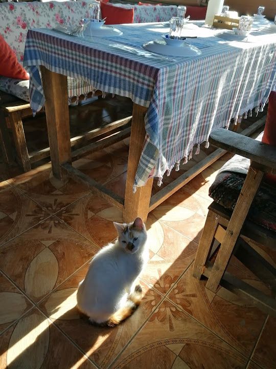 Fotoğraf 15