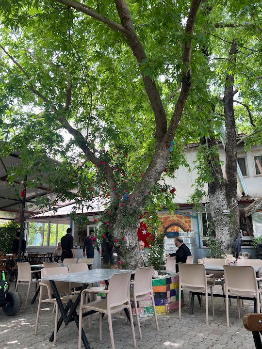 Fotoğraf 16