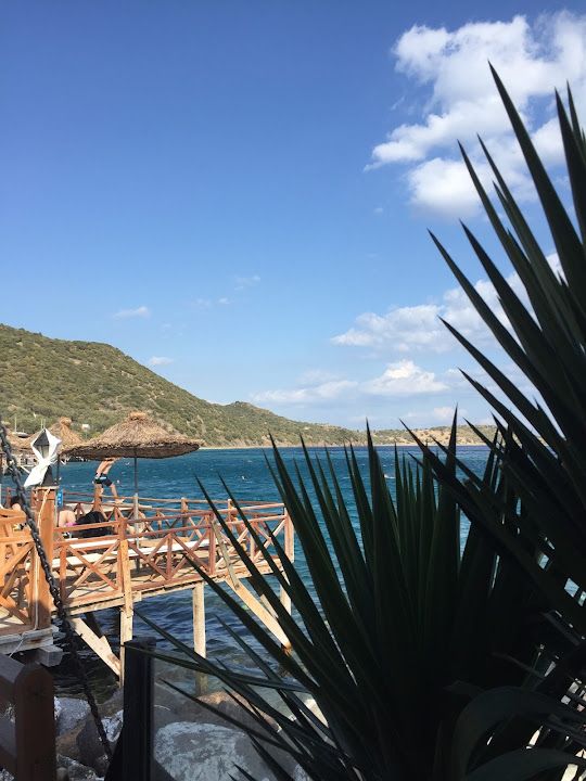 Yorum fotoğrafı 4