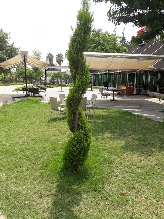 Yorum fotoğrafı 2