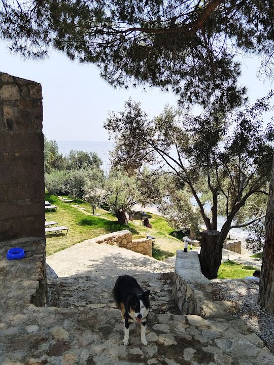 Yorum fotoğrafı 4