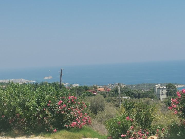 Yorum fotoğrafı 3