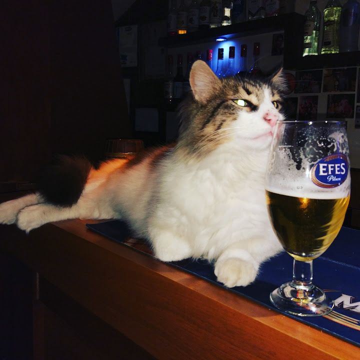 Fotoğraf 18
