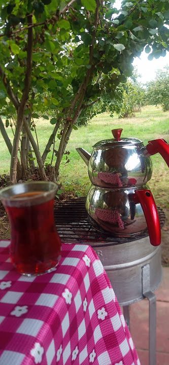 Fotoğraf 45