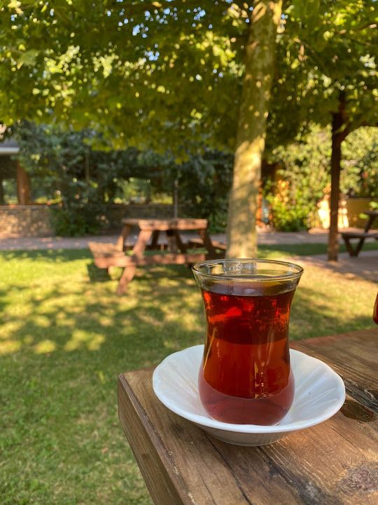 Fotoğraf 37