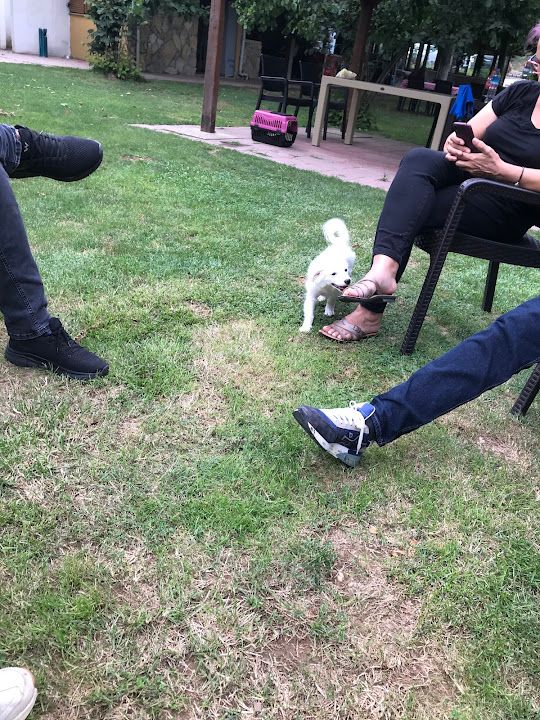 Yorum fotoğrafı 3