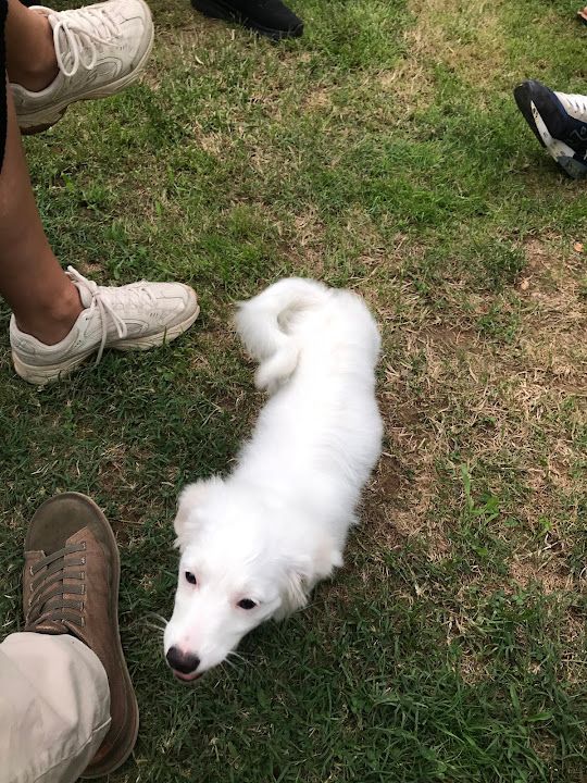 Yorum fotoğrafı 4