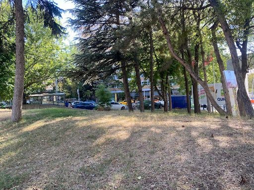 Yorum fotoğrafı 10