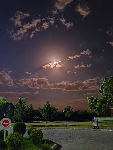 Yorum fotoğrafı 6