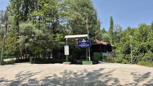 Fotoğraf 15
