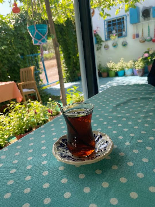 Fotoğraf 31