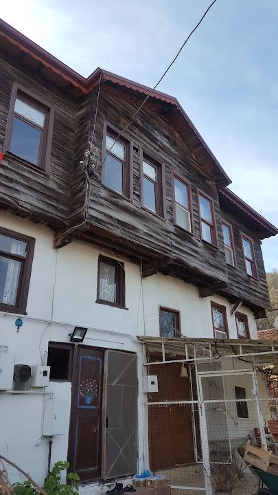 Fotoğraf 17