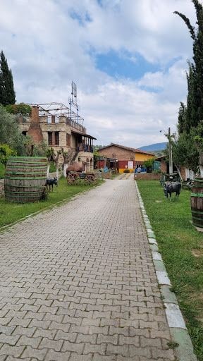 Fotoğraf 13