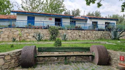 Fotoğraf 14