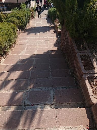 Yorum fotoğrafı 7