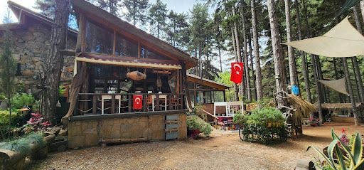 Yorum fotoğrafı 4