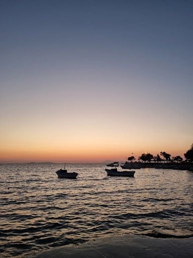 Fotoğraf 23