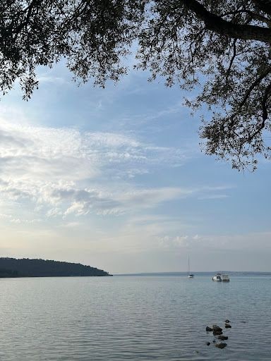 Fotoğraf 26