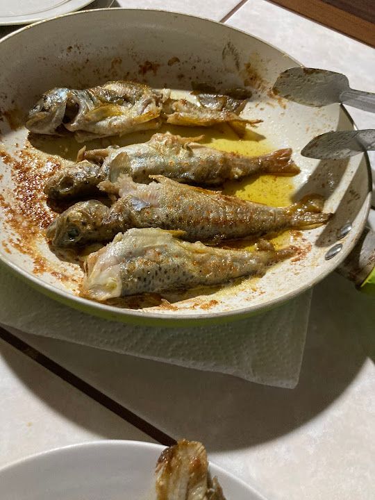 Fotoğraf 12