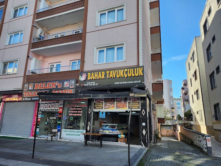 Bahar tavukçuluk
