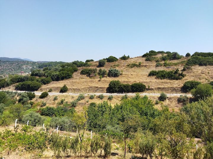 Yorum fotoğrafı 4