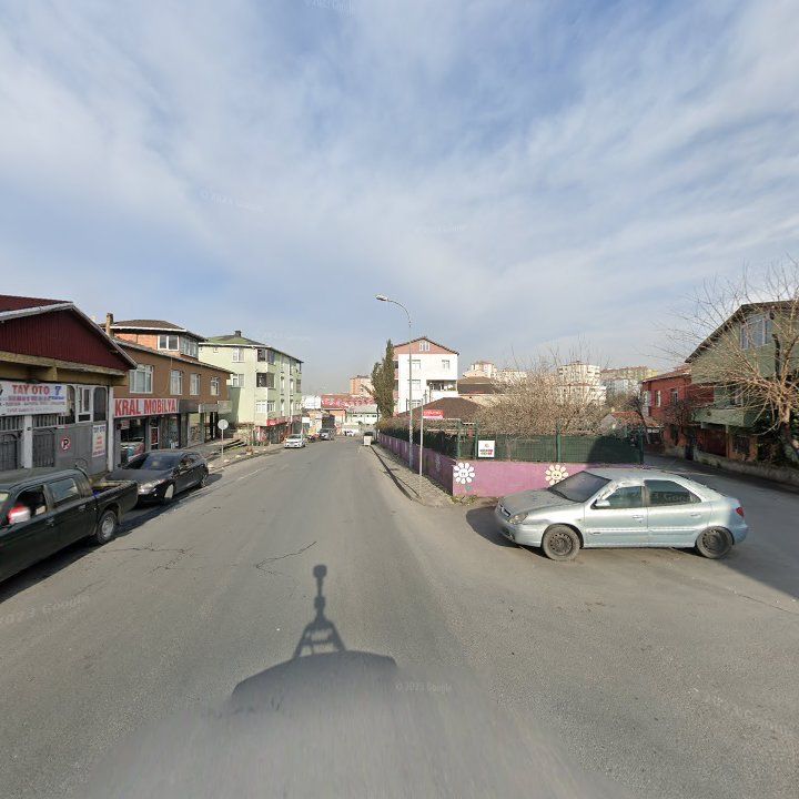 Fotoğraf 7
