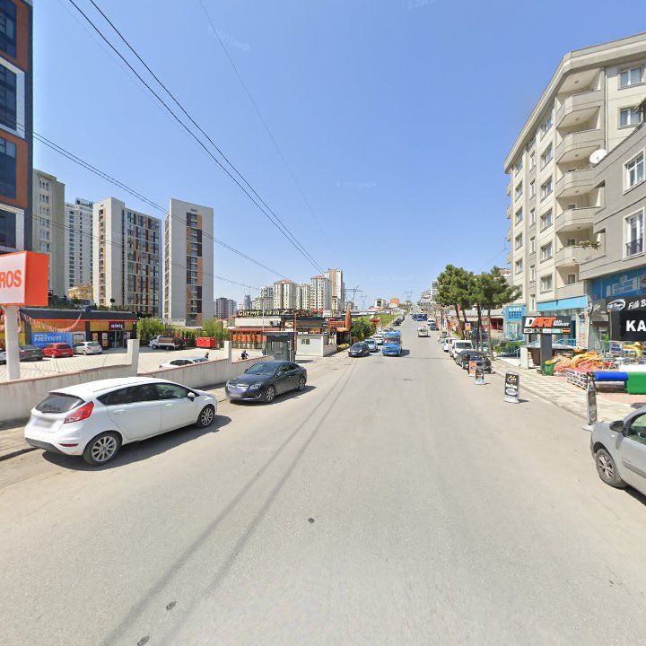 Fotoğraf 8