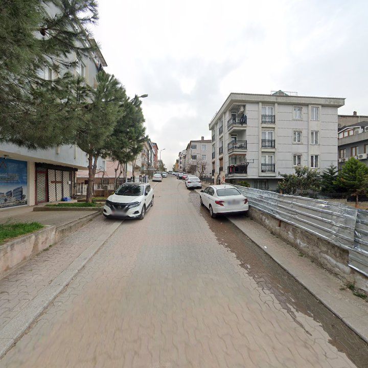 Fotoğraf 6