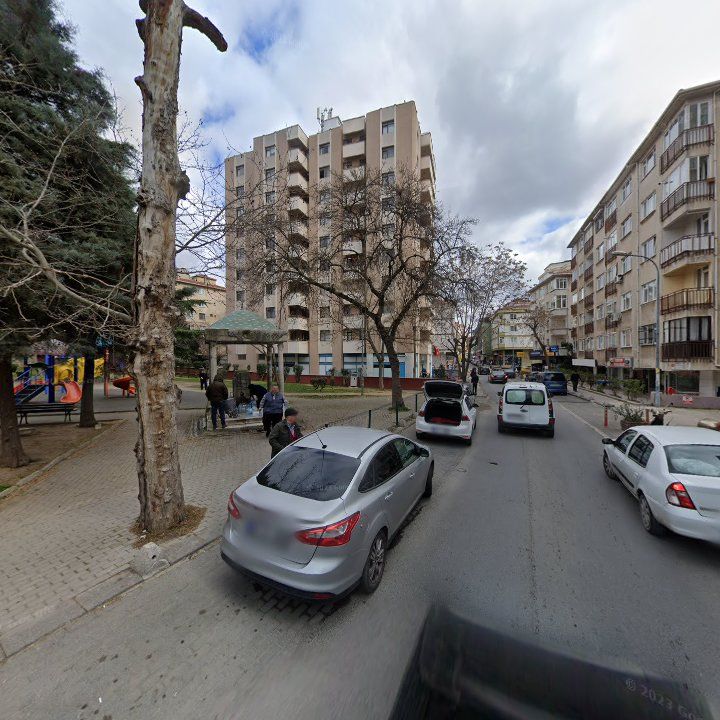 Fotoğraf 11