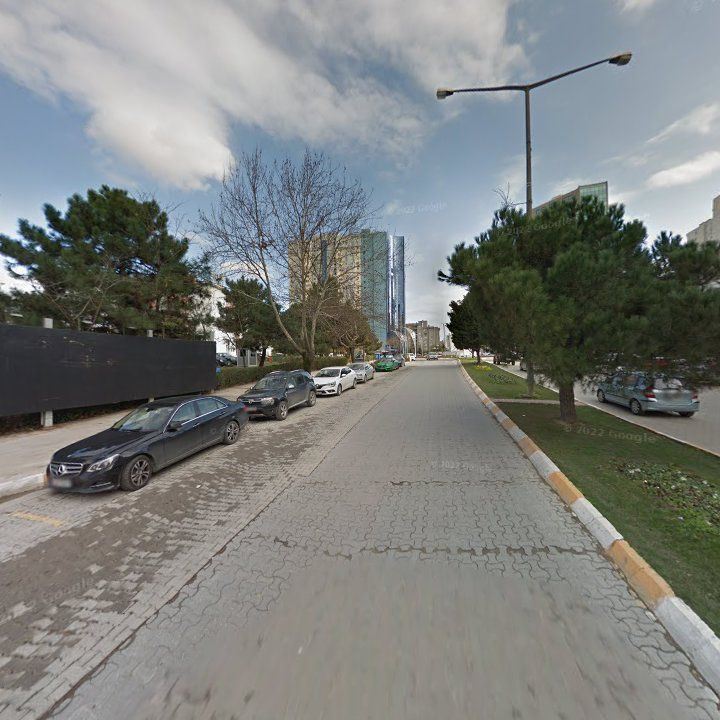 Fotoğraf 11