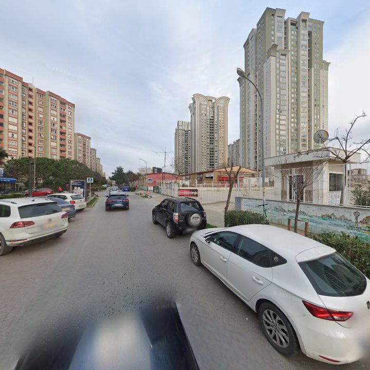 Fotoğraf 9