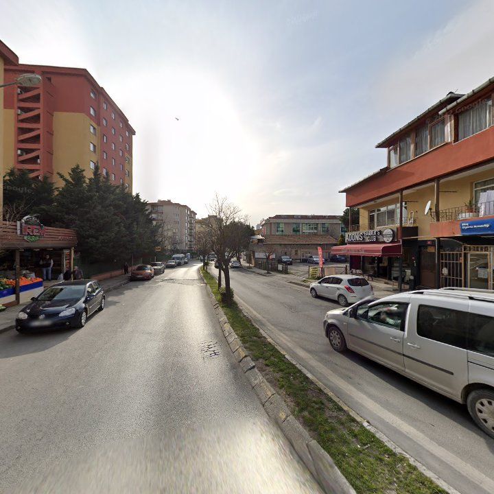 Fotoğraf 9