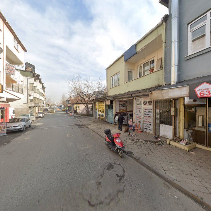 Fotoğraf 8