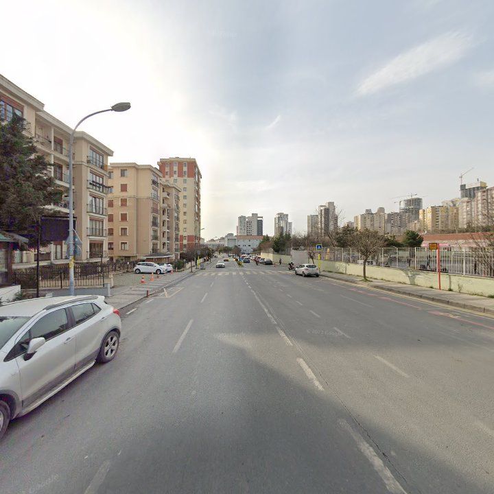 Fotoğraf 10