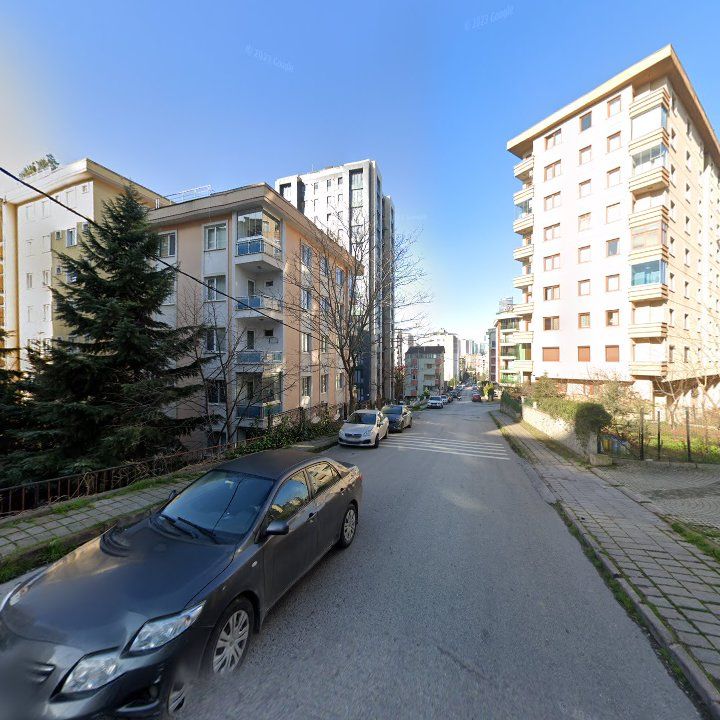 Fotoğraf 14