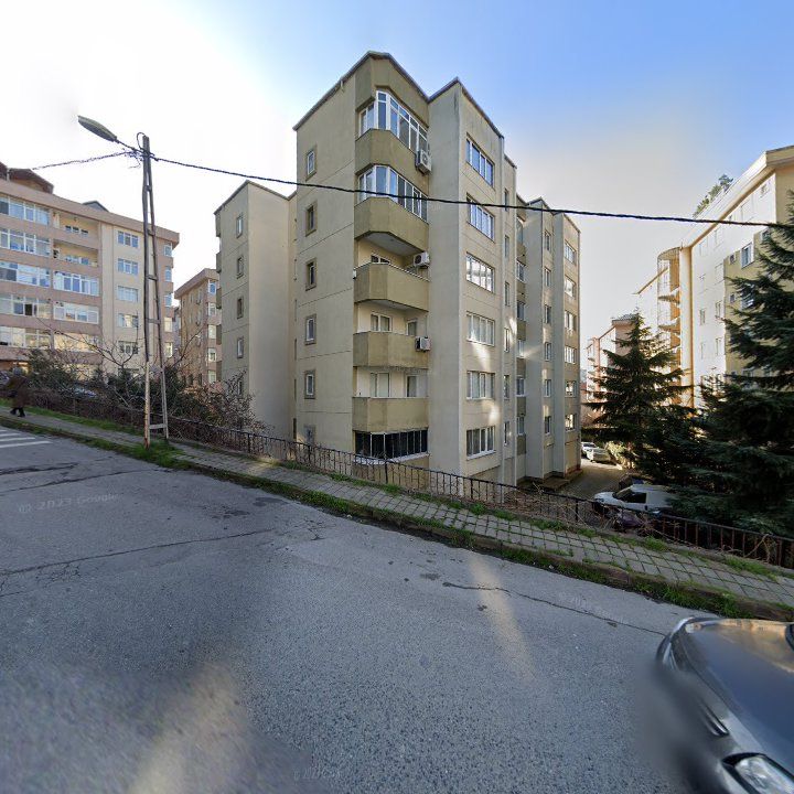 Fotoğraf 13