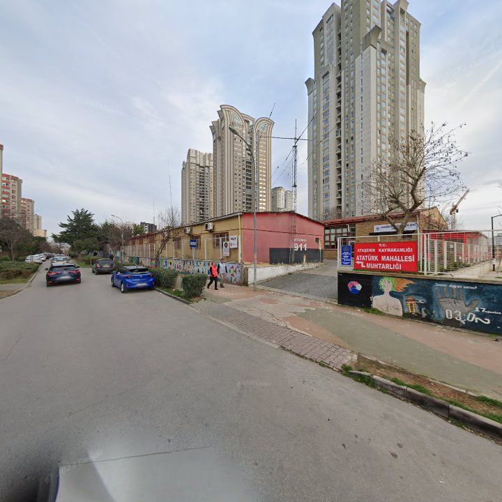 Fotoğraf 10