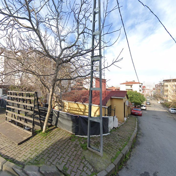 Fotoğraf 12