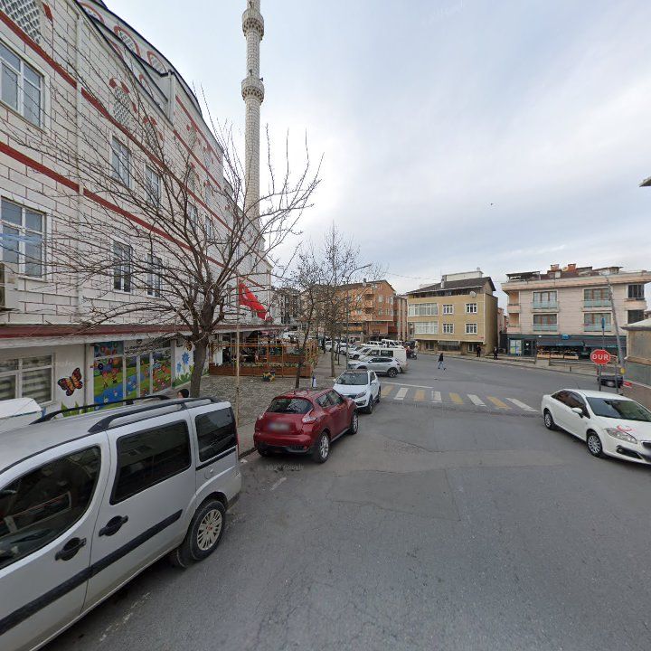 Fotoğraf 8