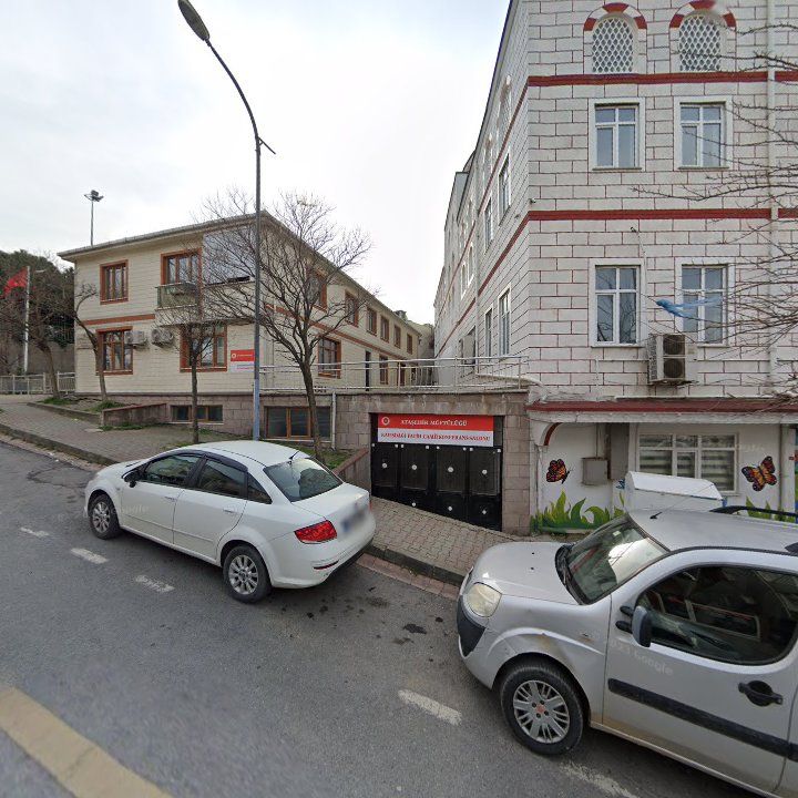 Fotoğraf 7