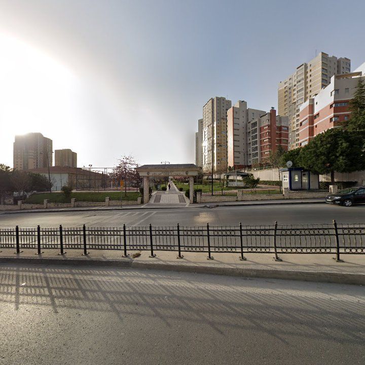 Fotoğraf 8