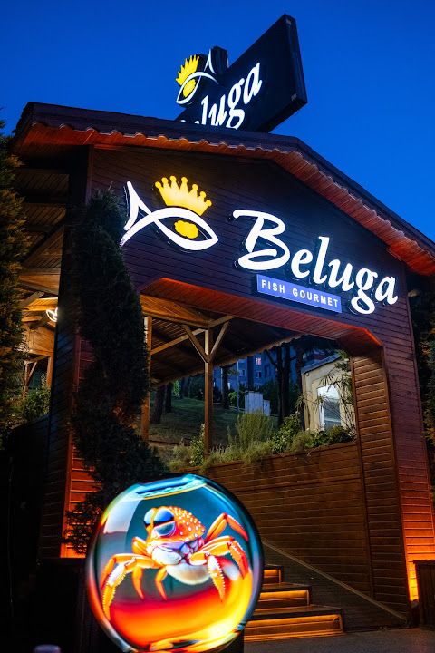 Beluga Fish Gourmet | Ataşehir