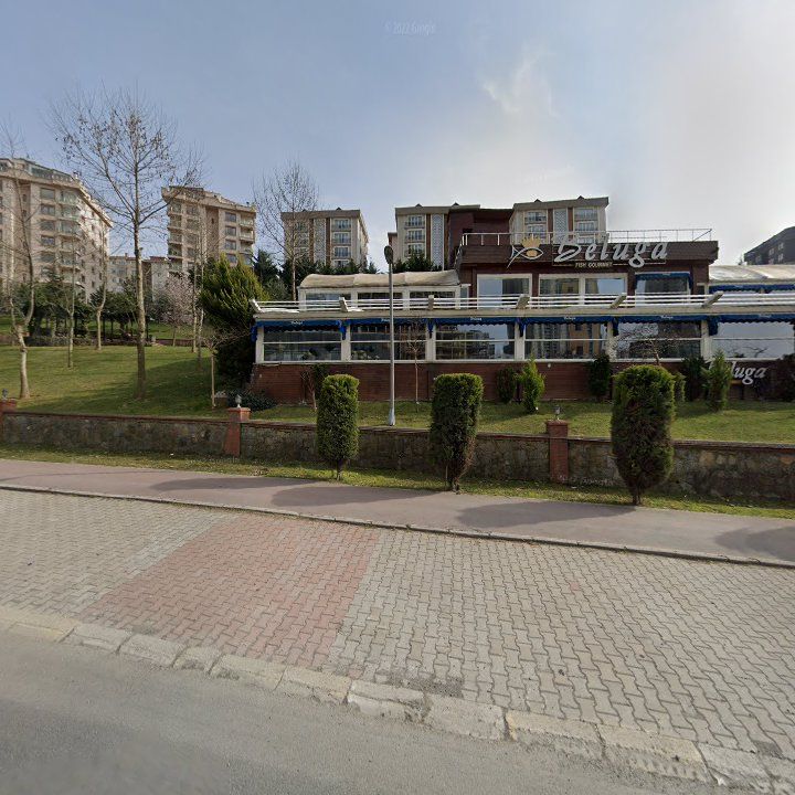 Fotoğraf 12
