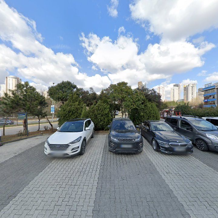 Fotoğraf 15