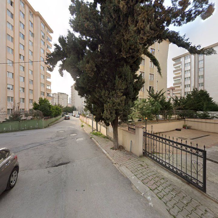 Fotoğraf 13