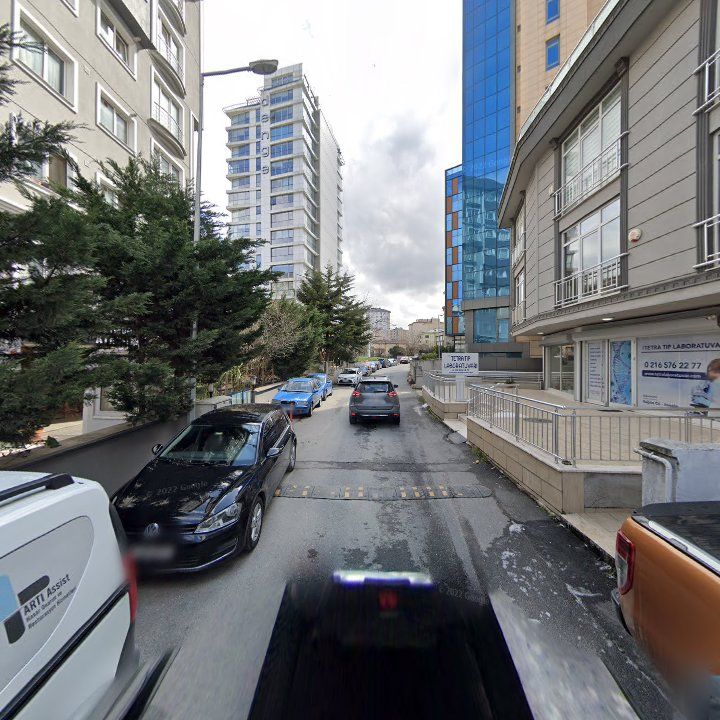 Fotoğraf 13