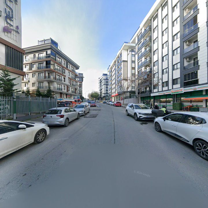 Fotoğraf 11
