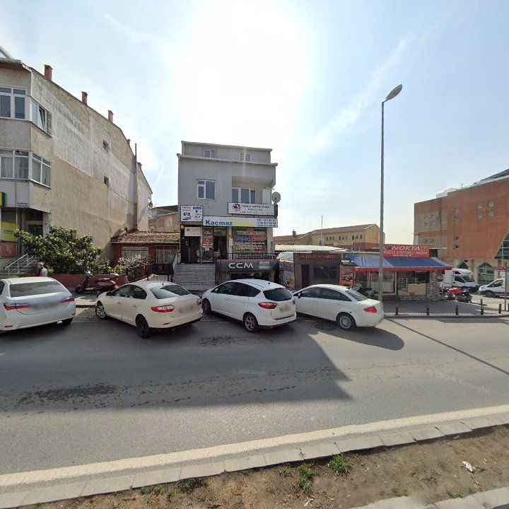Fotoğraf 12
